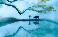 回歸鄉村,方知幸福 【輕鋼別墅】