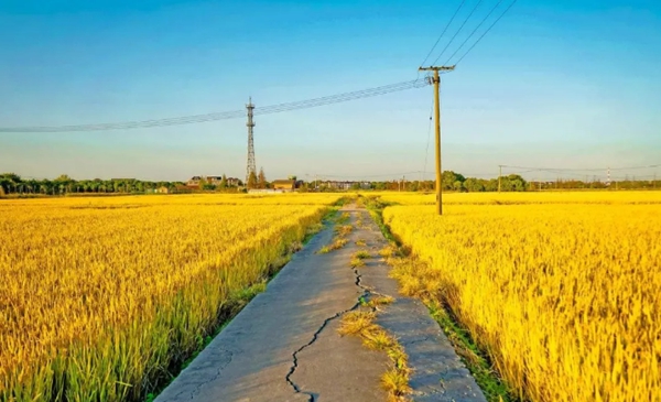 輕鋼別墅: 遠離城市喧囂,獨享一方寧靜(圖2) 鄉間風景