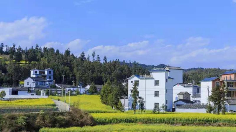 農(nóng)村開始實施禁止建新房?是真的嗎?(圖2) 睿婕輕鋼別墅