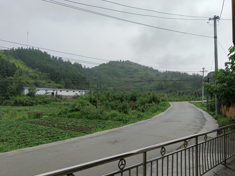 回歸自然，遠離塵囂：暢享寧靜農(nóng)村生活